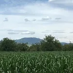Apartament D'alsace L'escale