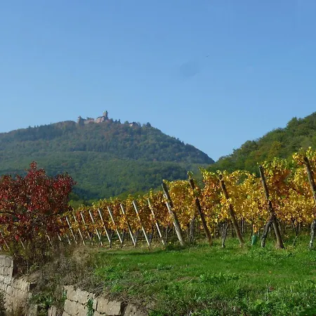 Apartman D'alsace L'escale *